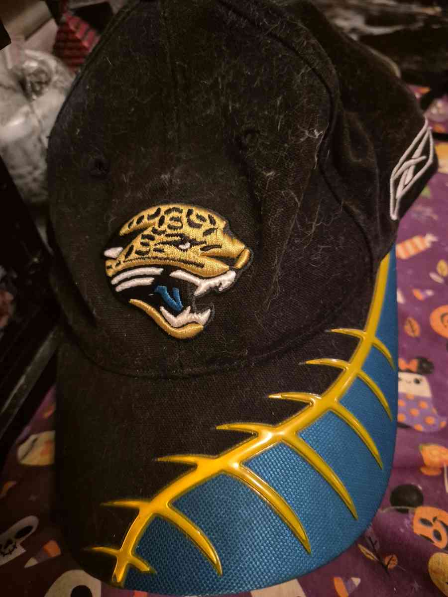 Jacksonville Jaguars memorabilia - New Port Richey, Florida - FleaMarketBay