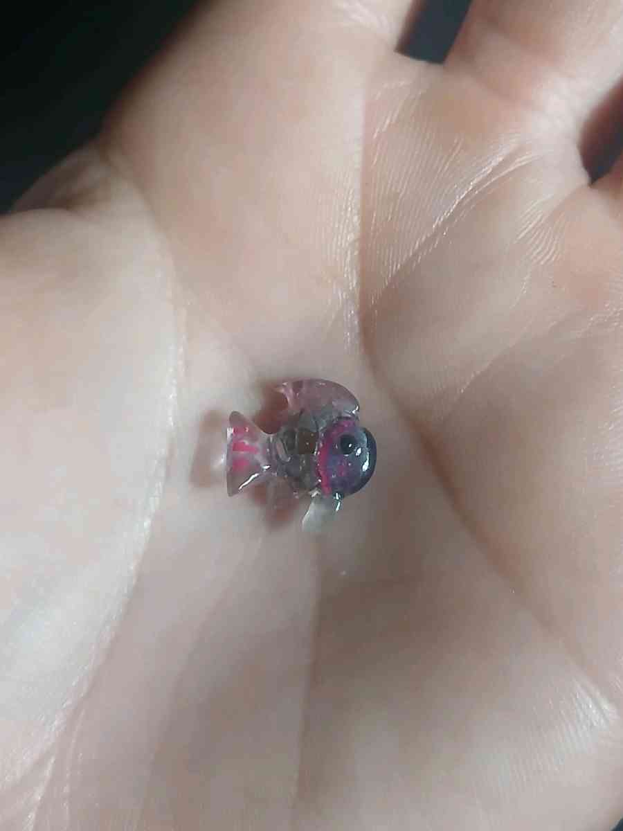 Handmade Rainbow Fish 4 - Oxnard, California - FleaMarketBay