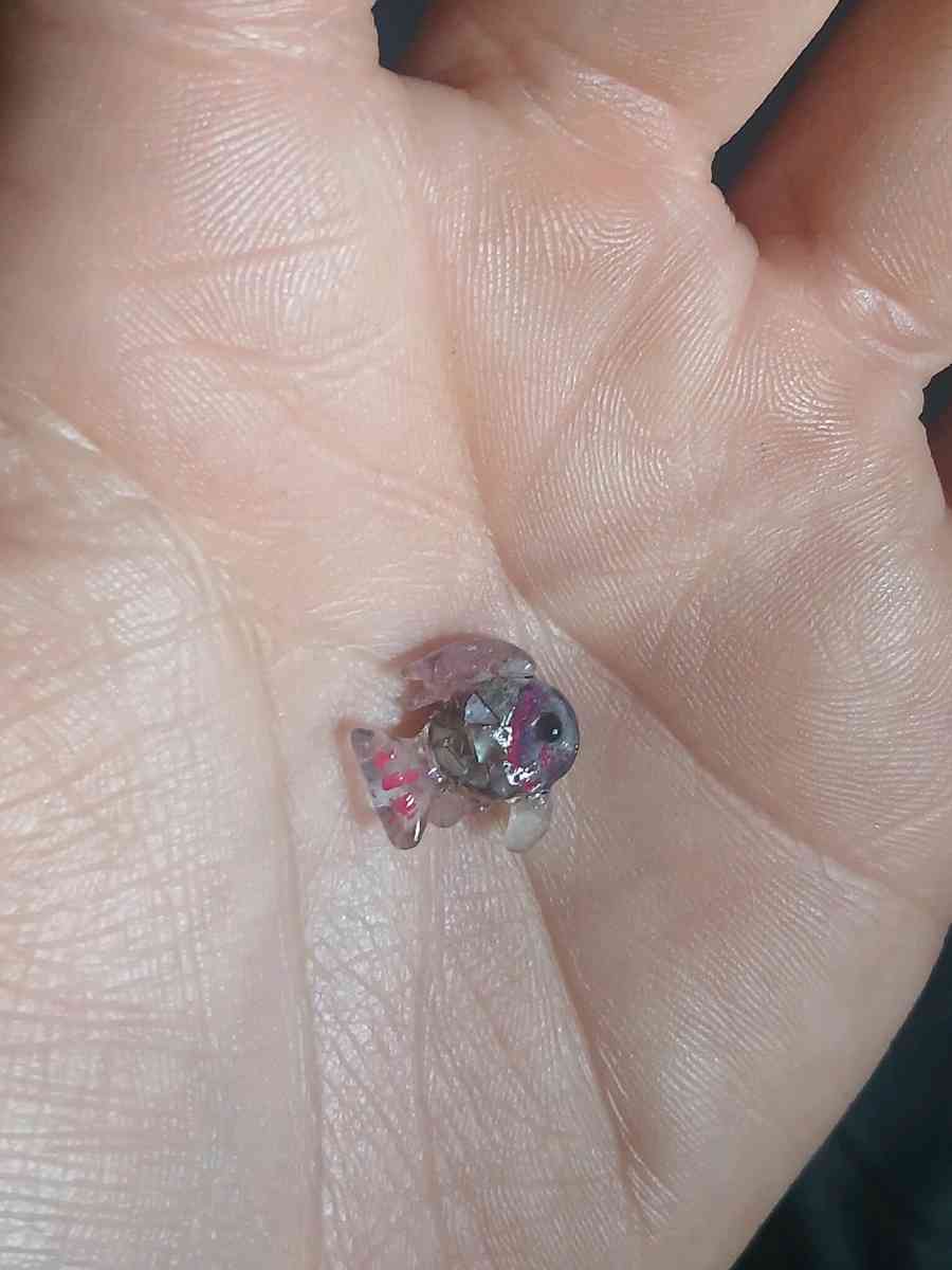 Handmade Rainbow Fish 4 - Oxnard, California