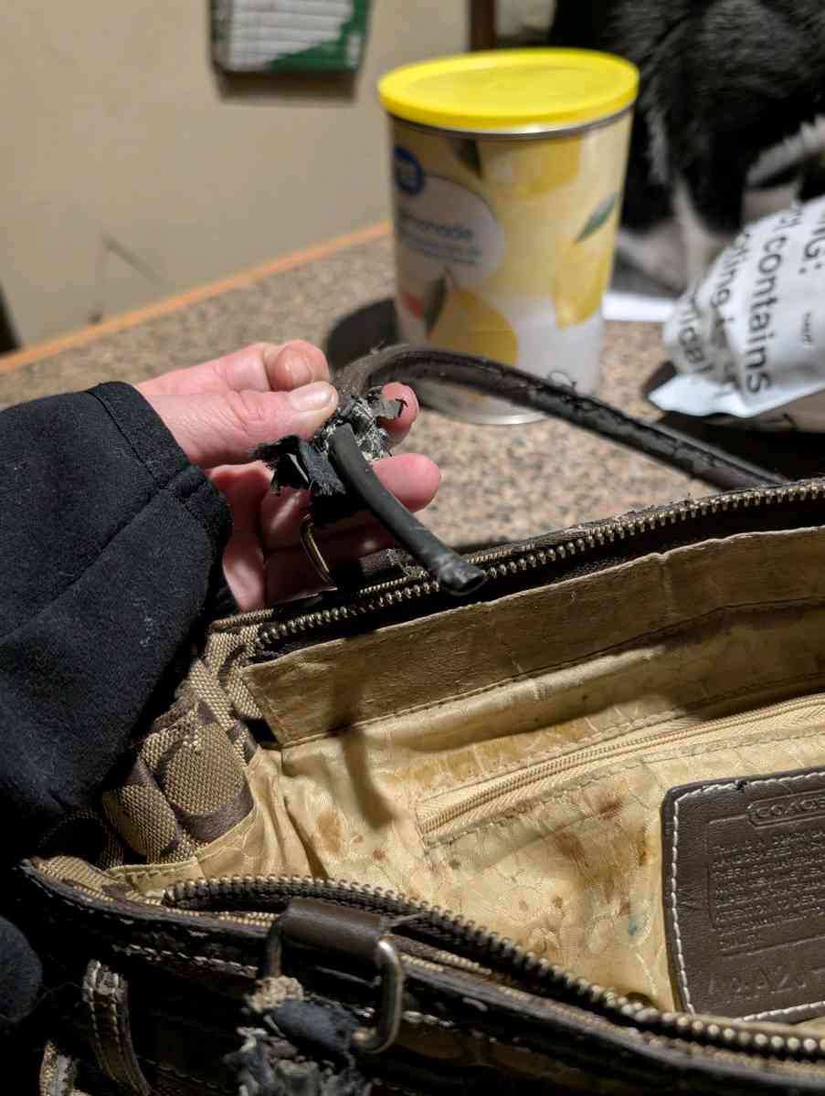 Coach bag style 1491 - Rockford, Illinois - FleaMarketBay