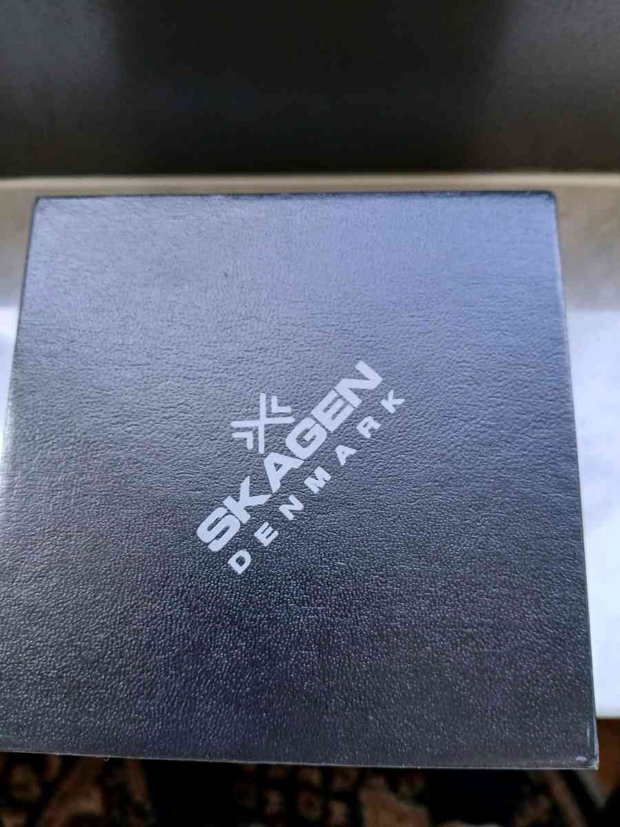 SKAGEN watch - Coconut Creek, Florida - FleaMarketBay