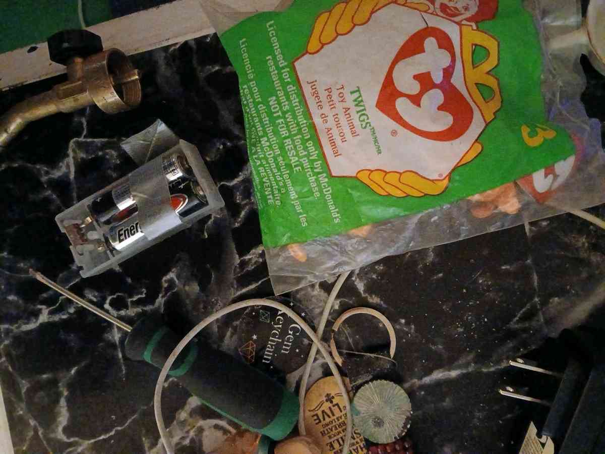 twig beanie baby - Logansport, Indiana