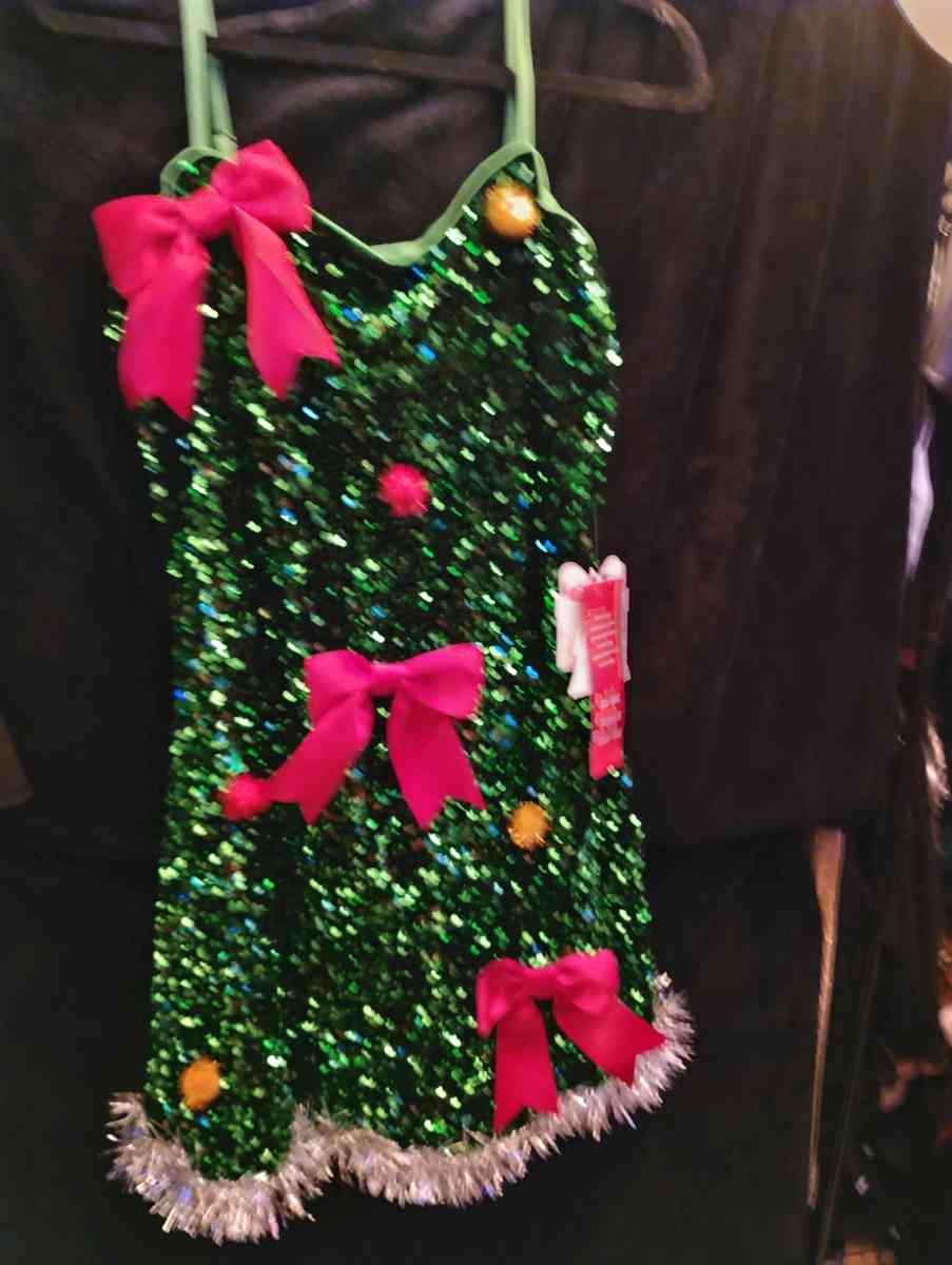 Brand New Christmas Dress - New Port Richey, Florida