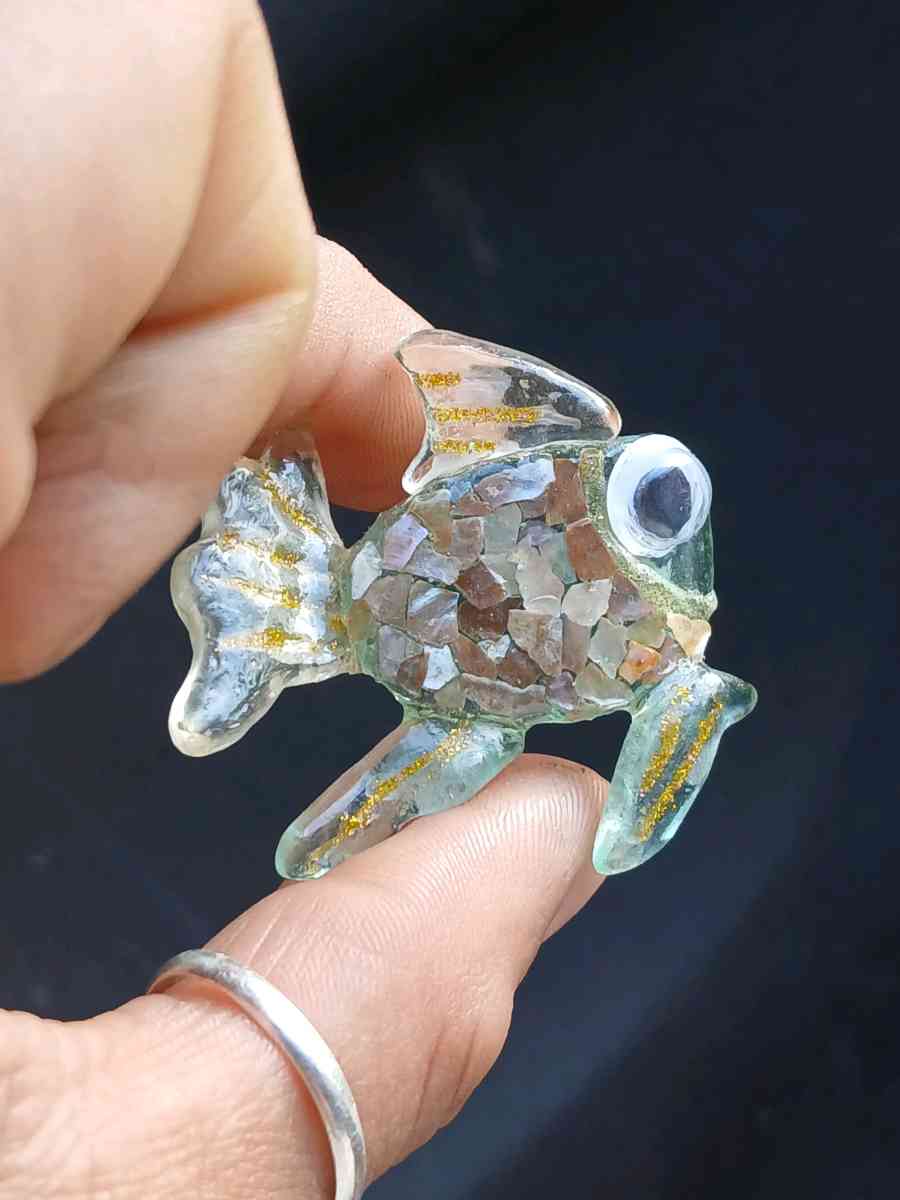 Rainbow Fish L1 - Oxnard, California