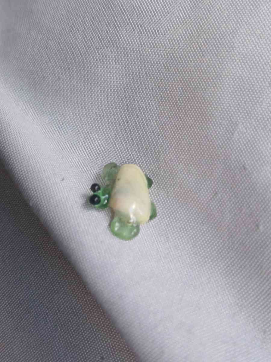 Handmade nano turtle N1 - Oxnard, California