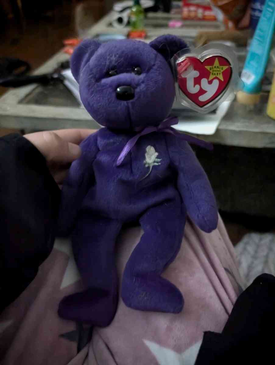 TY Princess - Rockford, Illinois