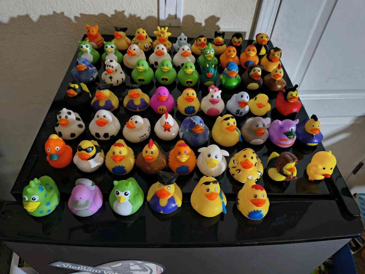 160 Rubber Duck Mega Lot  Fun Overload - Lincoln, California - FleaMarketBay