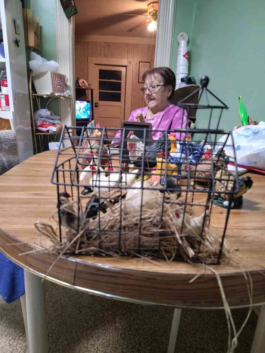 chickens and roosters - Saint Joseph, Missouri - FleaMarketBay