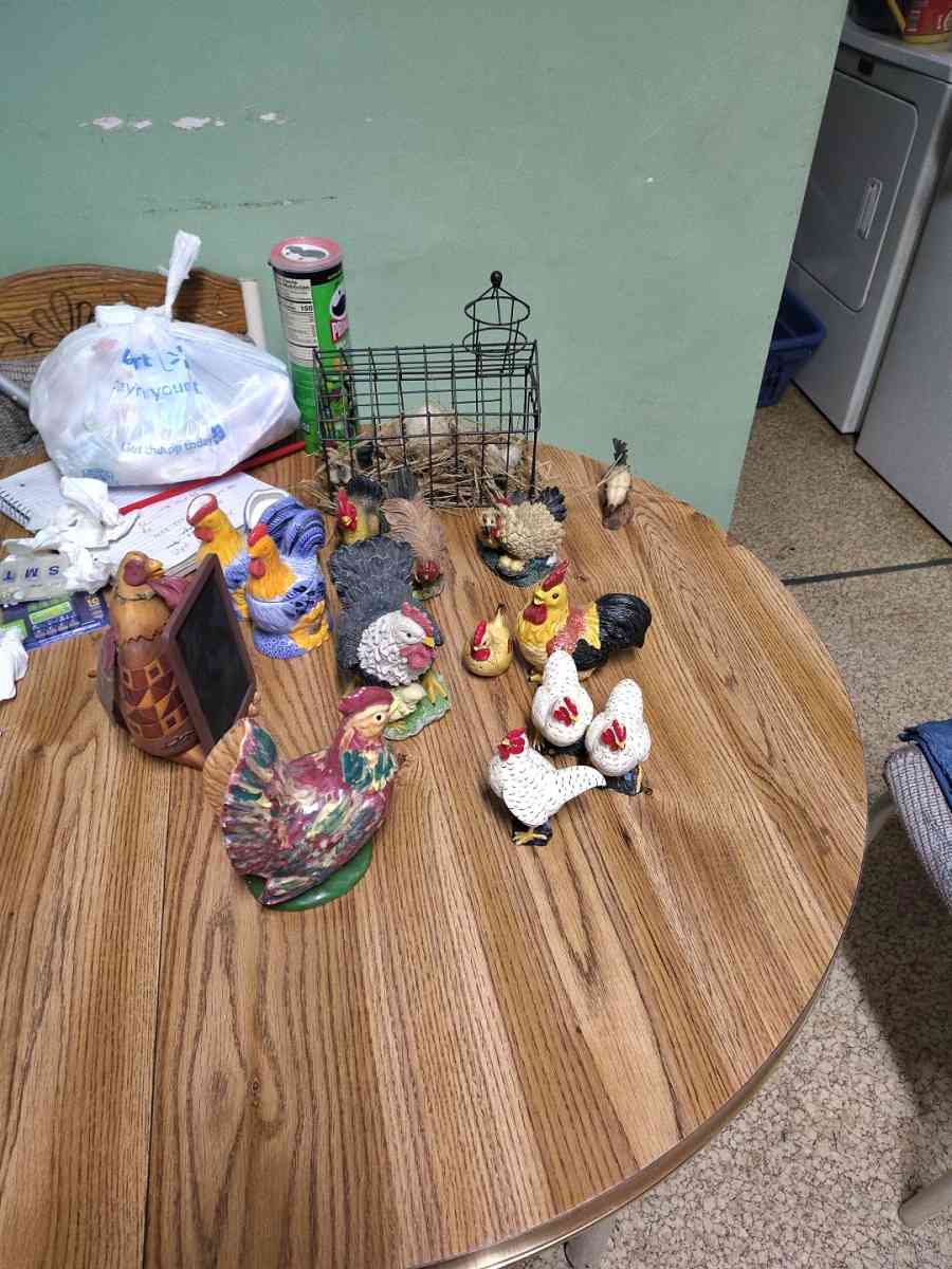 chickens and roosters - Saint Joseph, Missouri - FleaMarketBay