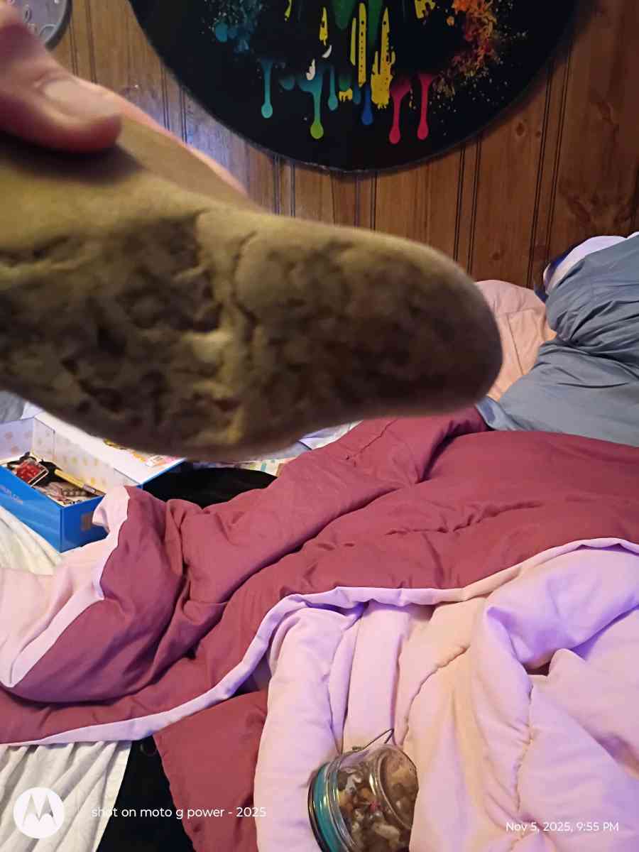 native American hammer stone tool artifact - North Branch, Michigan