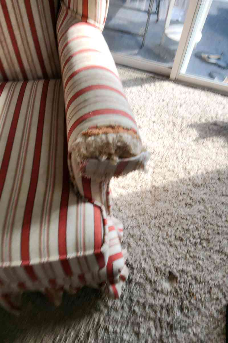 FREE Wingback chair - Valrico, Florida - FleaMarketBay