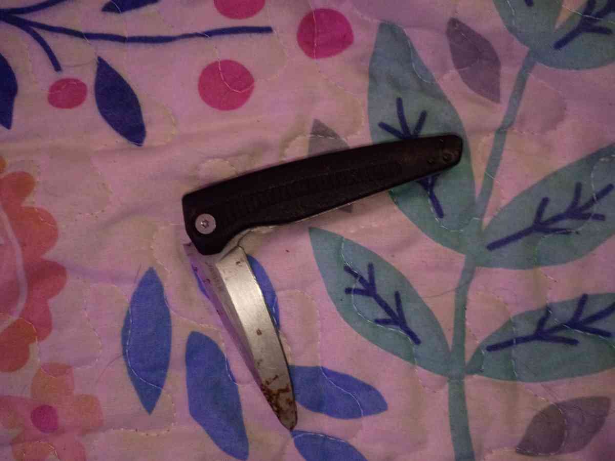 kershaw Victoronix and Chinese pen knife - Empire, Alabama - FleaMarketBay