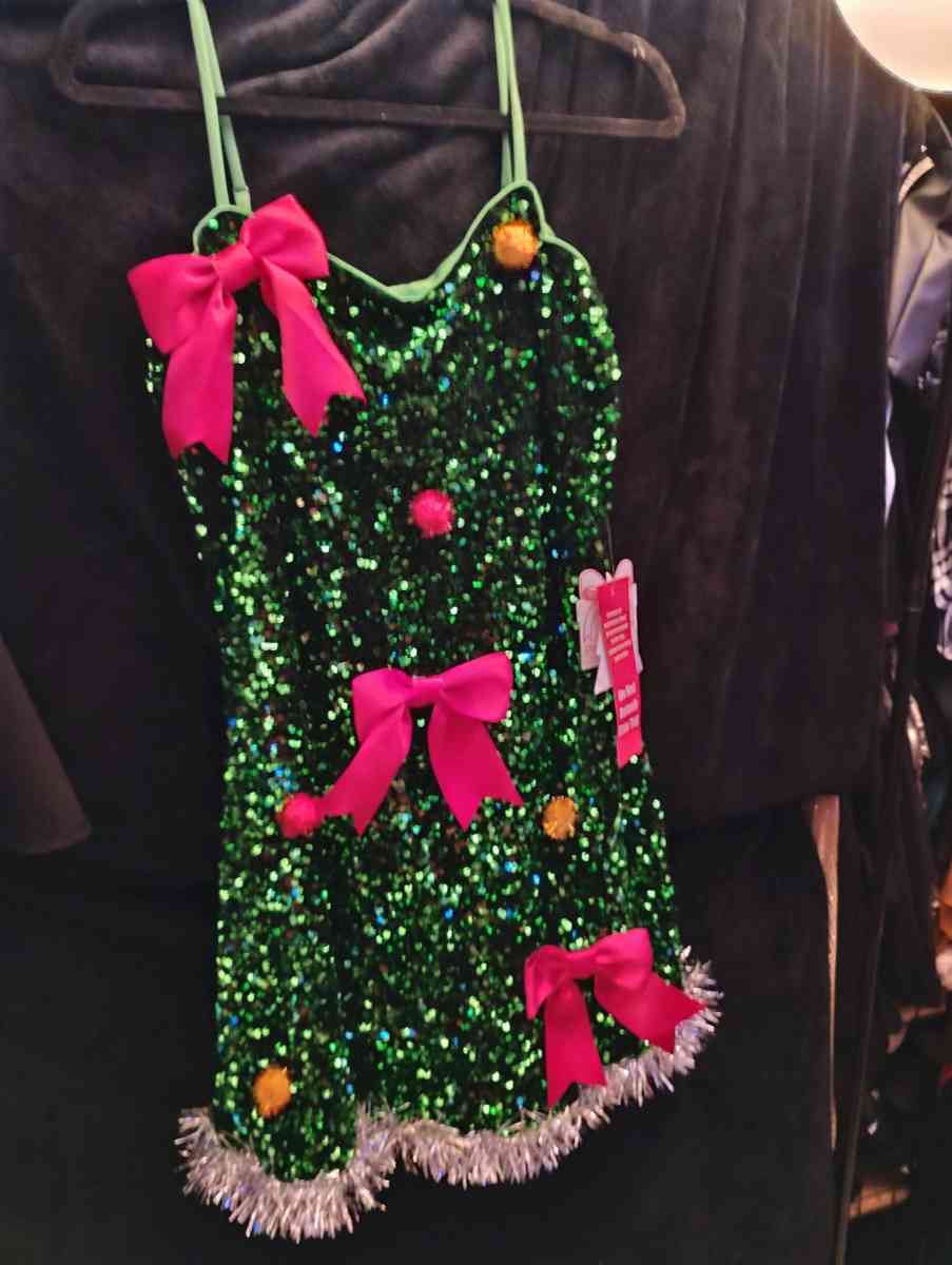 Brand New Christmas Dress - New Port Richey, Florida - FleaMarketBay