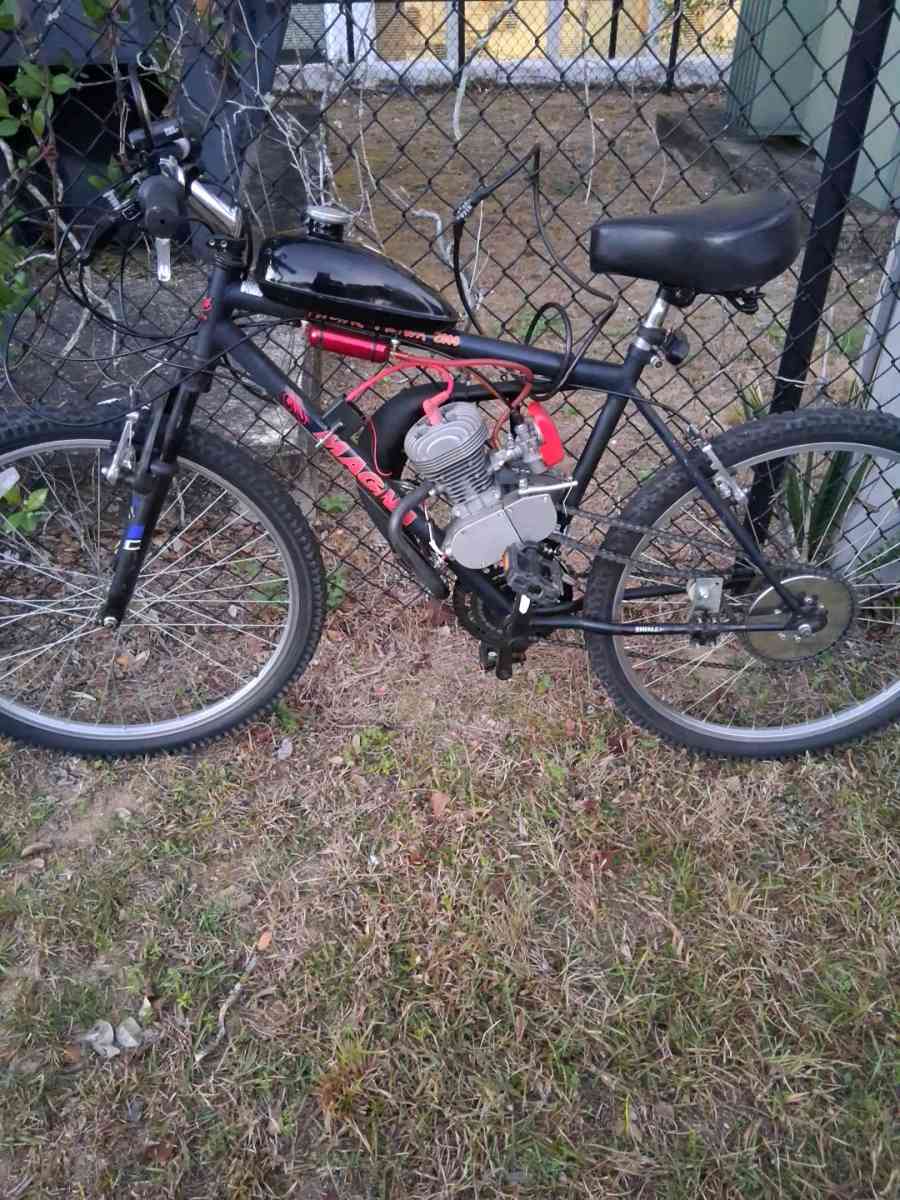 motorized bicycle - Tallahassee, Florida