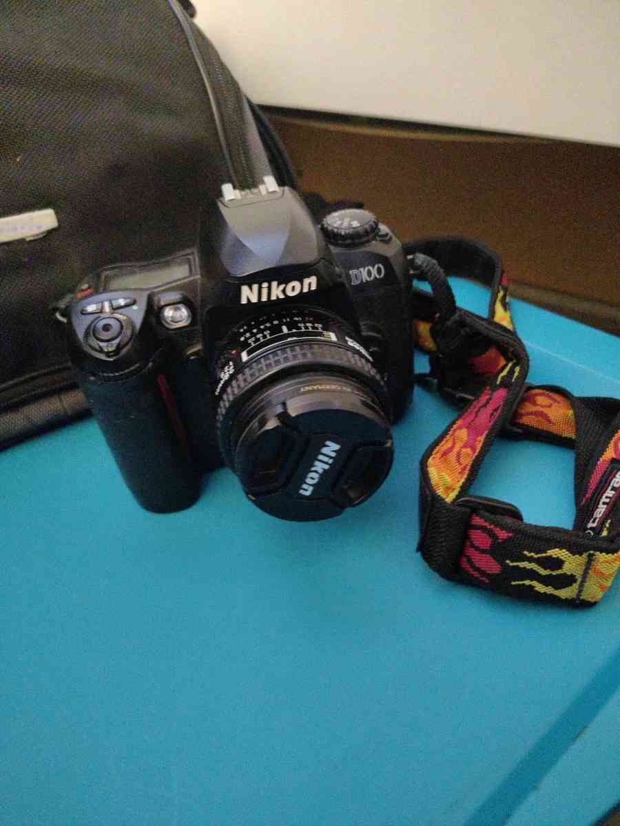 Nikon D100 Digital Camera with Bag - Flushing, New York