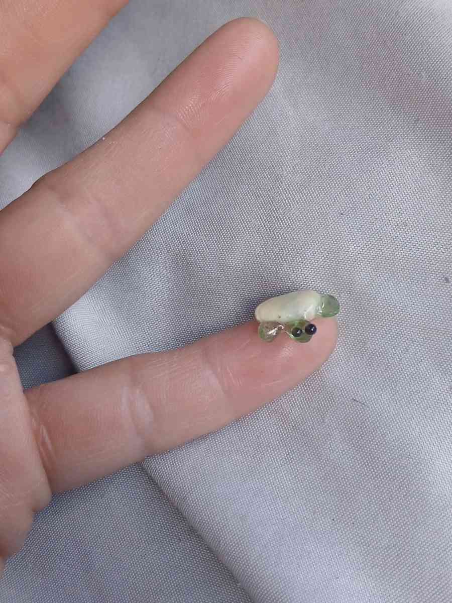 Handmade nano turtle N1 - Oxnard, California - FleaMarketBay