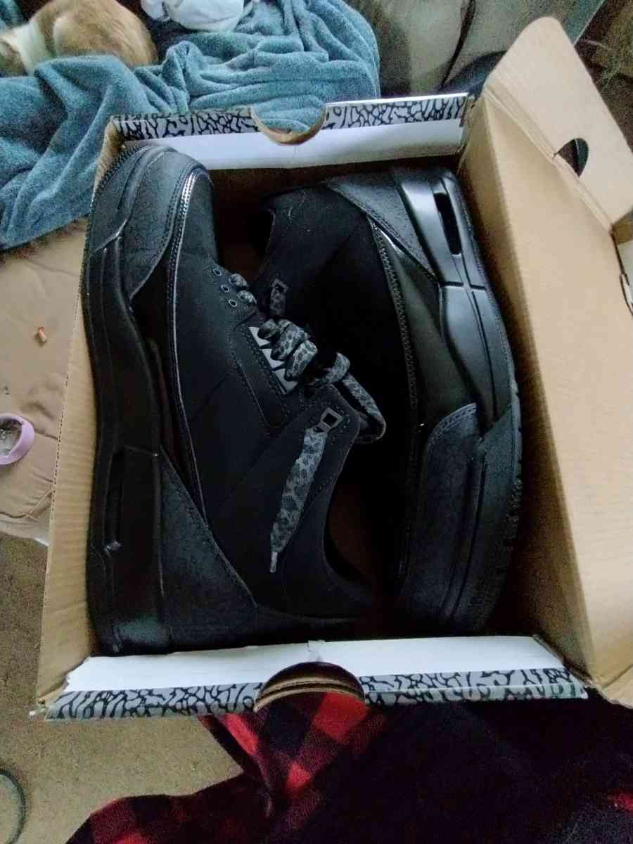 Air Jordan black cat 3s
