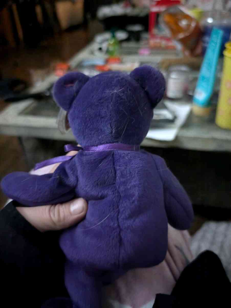 TY Princess - Rockford, Illinois - FleaMarketBay