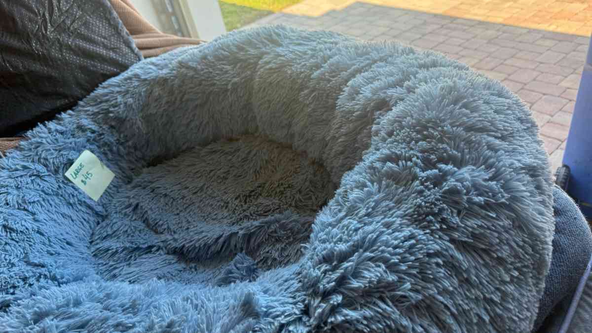 dog beds - Apollo Beach, Florida