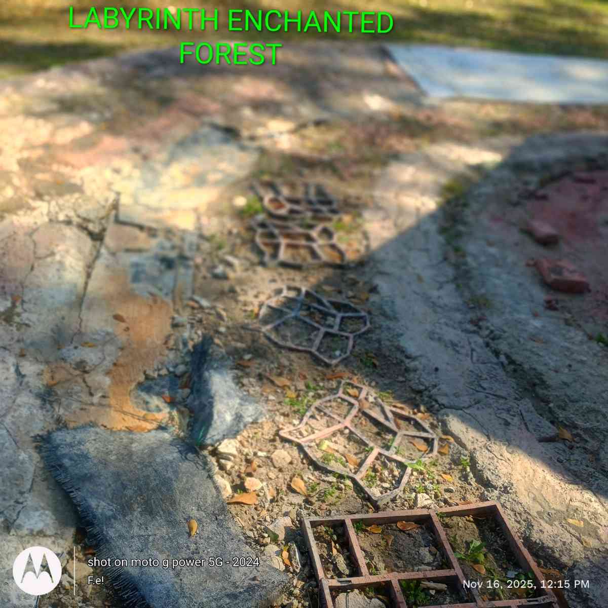 Retreat RanchStyle House w Forest Clearing Lot - Orangeburg, South Carolina - FleaMarketBay