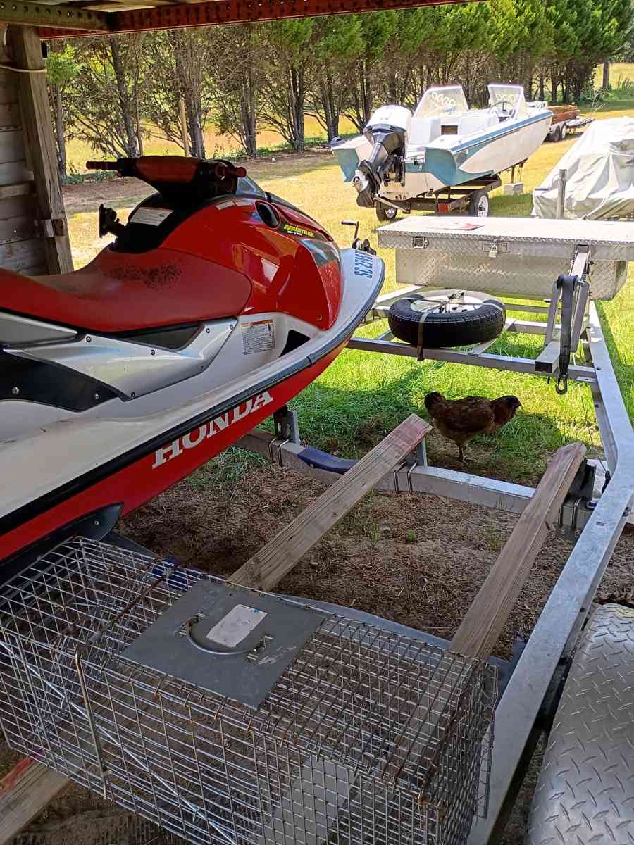 a little bit of everything - Eutawville, South Carolina - FleaMarketBay