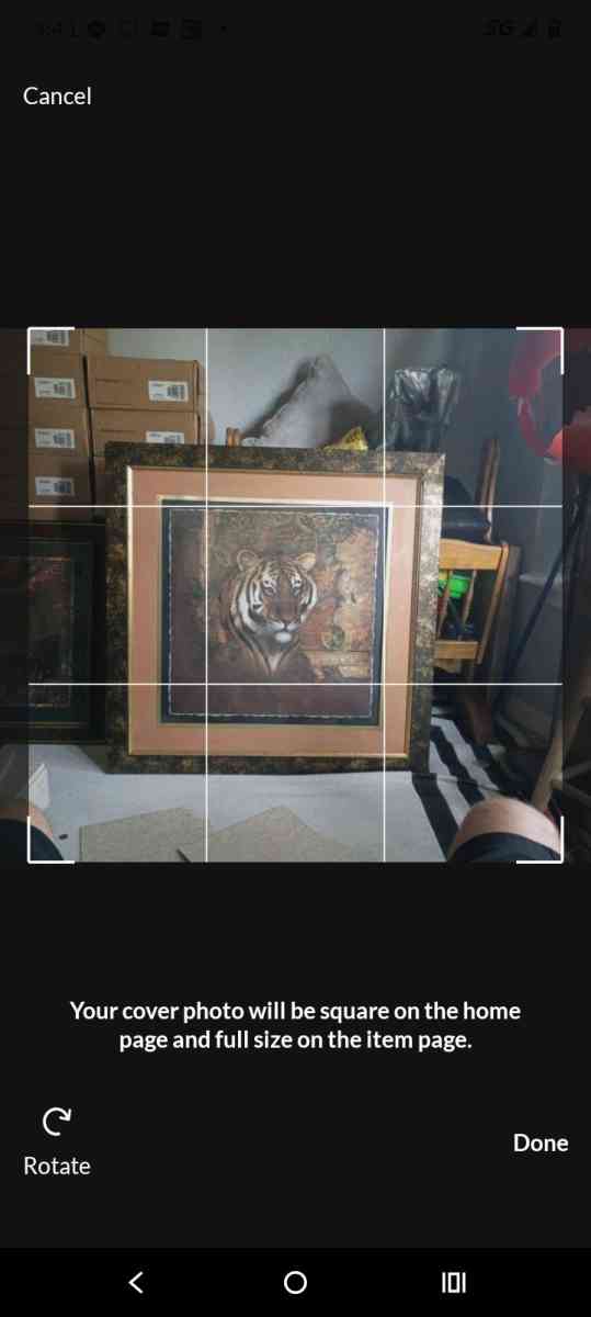 Tiger and leopard painting - Dickinson, Texas