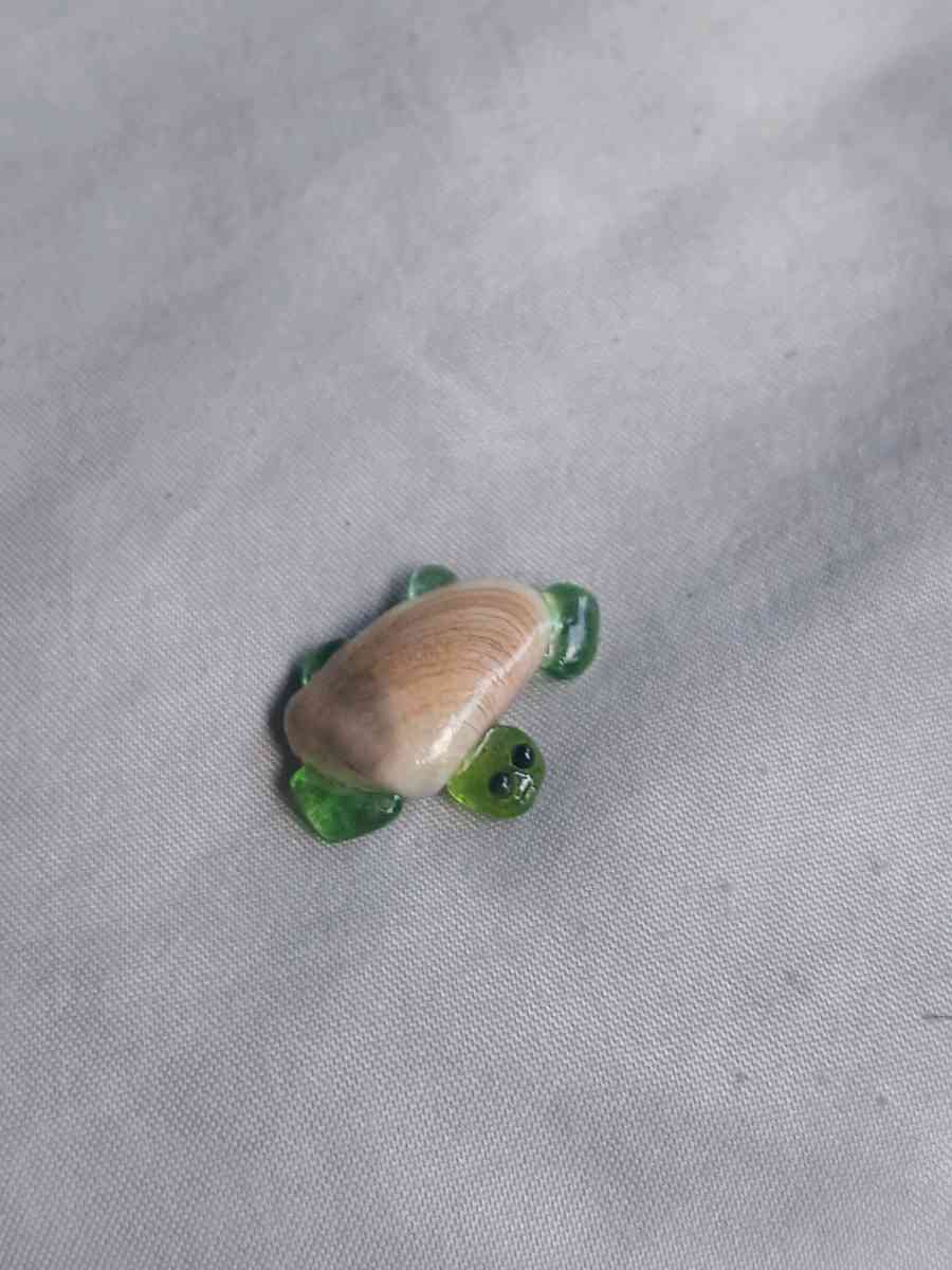 Handmade turtle M1 - Oxnard, California