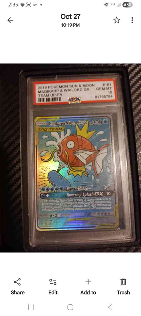 magicarp 161 - Raymond, Washington