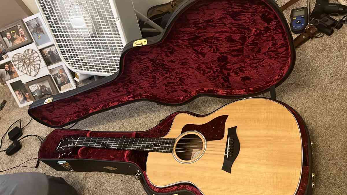 Taylor guitar 214ce dlx - Springdale, Arkansas - FleaMarketBay
