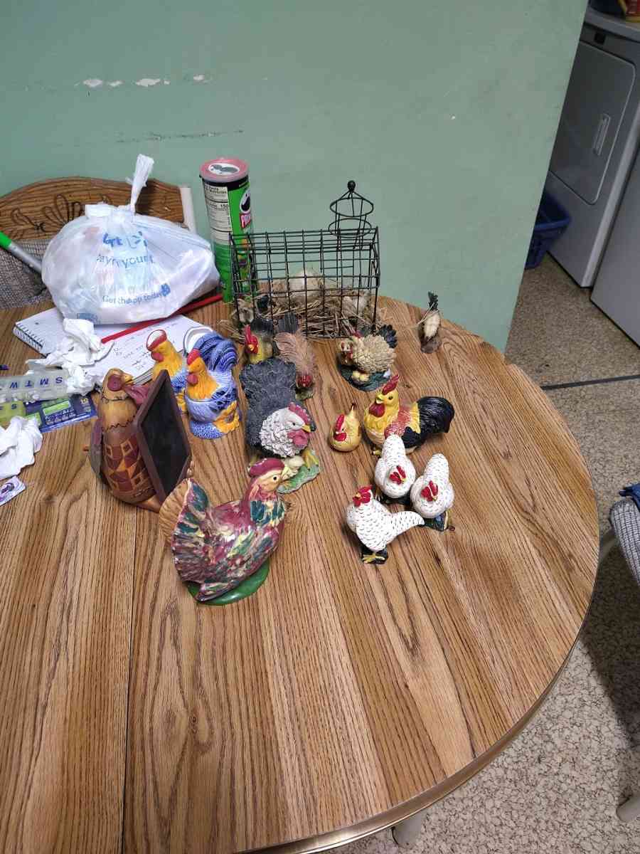 chickens and roosters - Saint Joseph, Missouri - FleaMarketBay