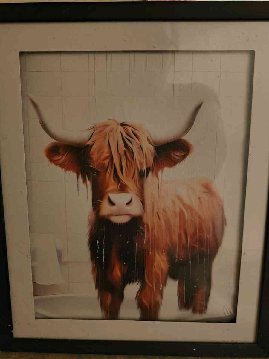 8x10 pics - Walker, Louisiana - FleaMarketBay