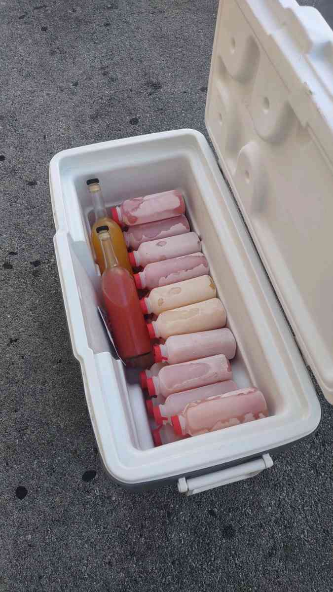 Exotic Cocktails for any occasion - Miami, Florida - FleaMarketBay