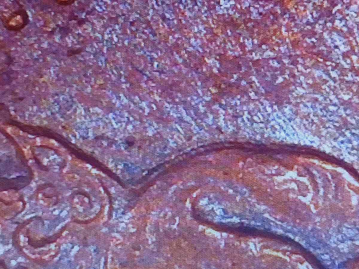 1967 100 year anniversary 1c Canada coin with ddo errors - Bakersfield, California - FleaMarketBay