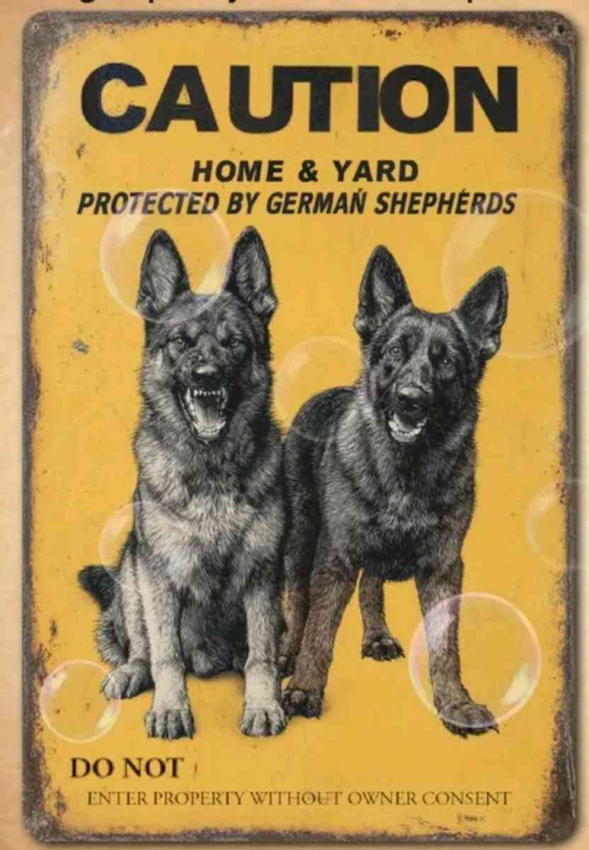 Metal Beware of Dog Sign - Palm Bay, Florida