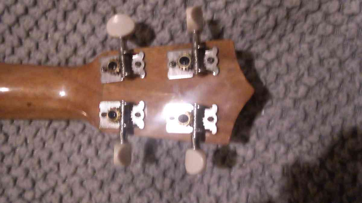 leolani ukulele zebrawood - Clovis, California - FleaMarketBay