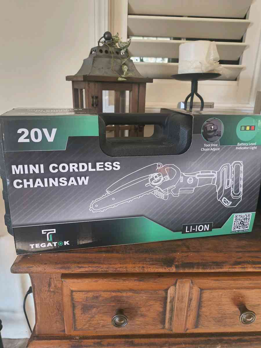 Tegatok chainsaw - Walker, Louisiana - FleaMarketBay