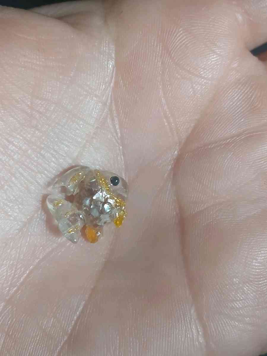 Handmade Rainbow Fish 3 - Oxnard, California