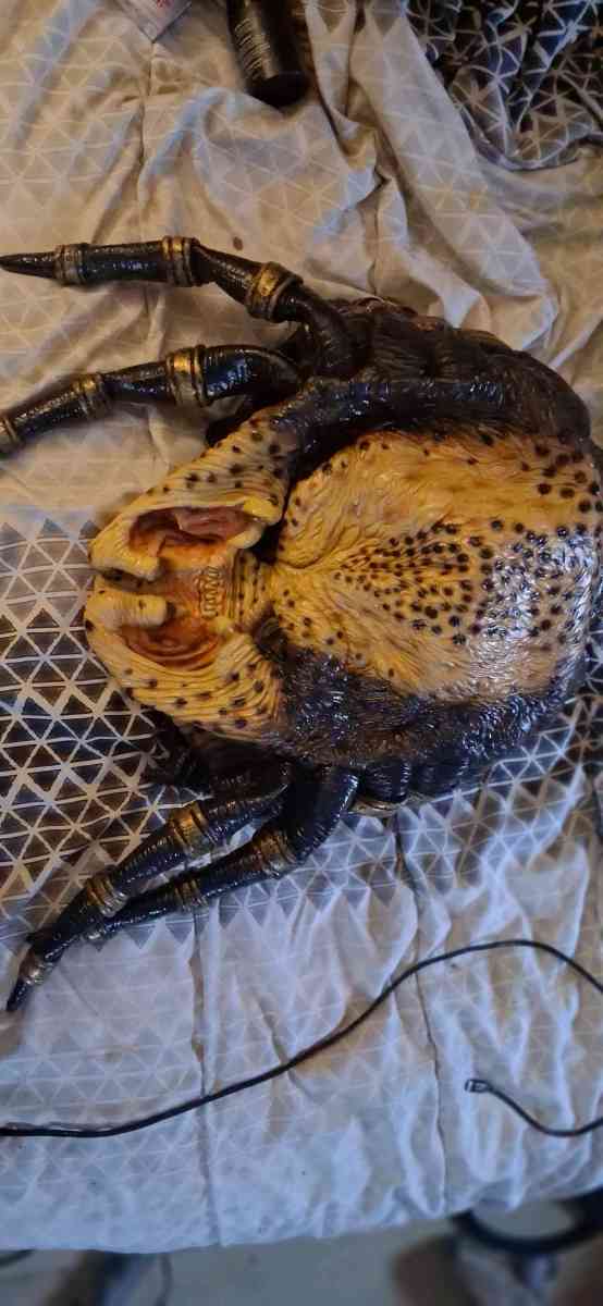 Full predator costume - Hudson, Florida