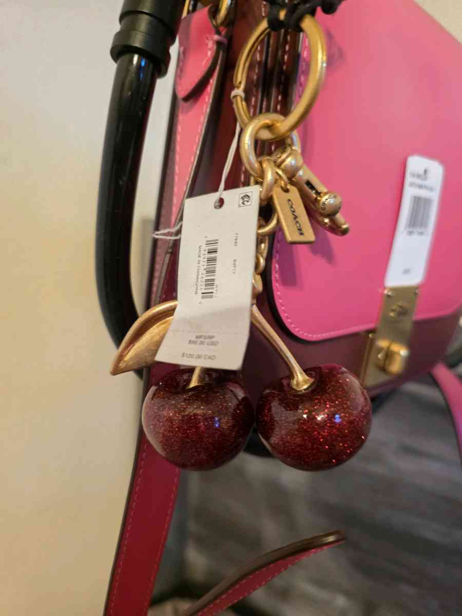 Coach Hutton Saddlebag in Colorblock Confetti Pink - Las Vegas, Nevada