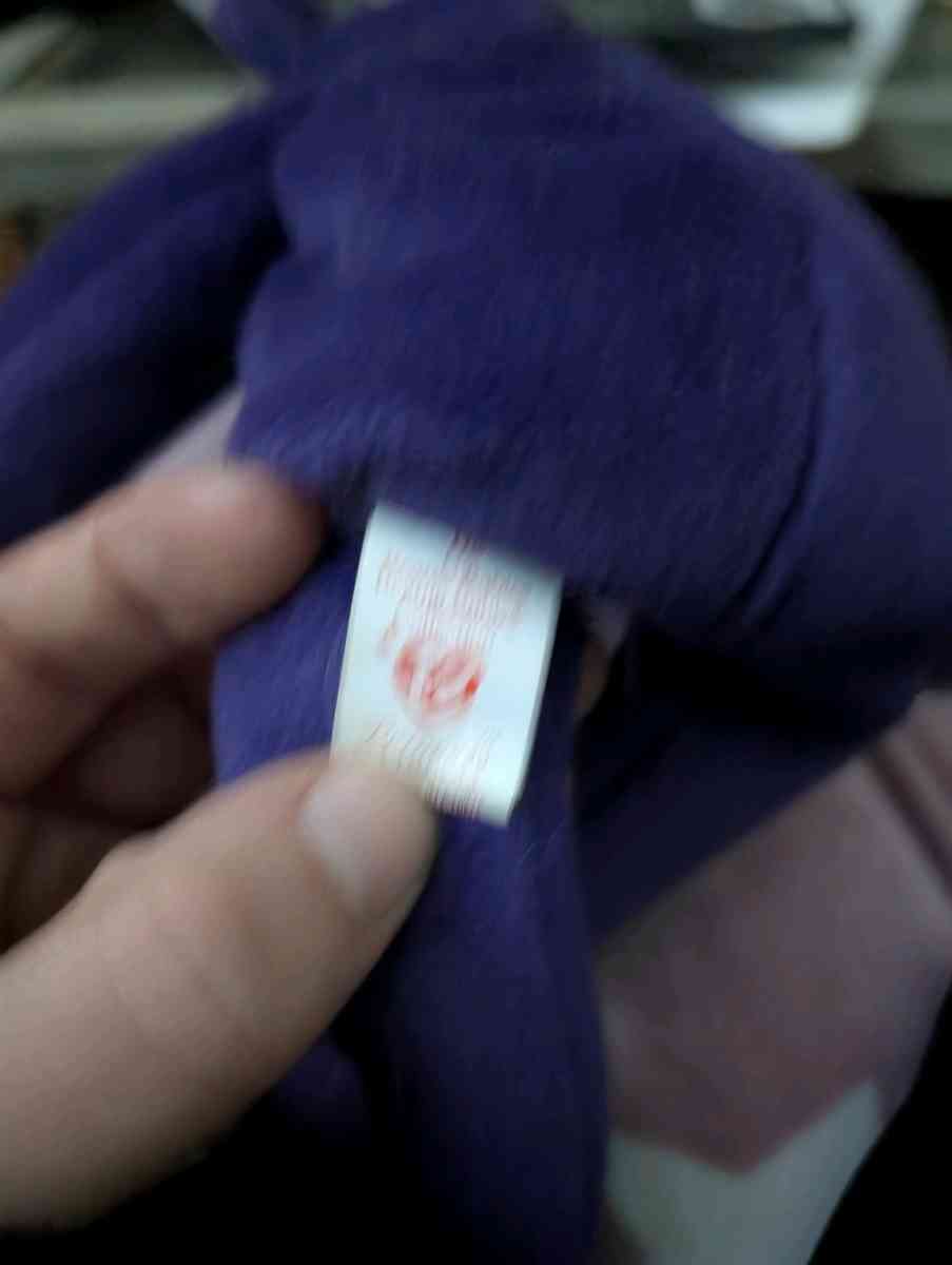 TY Princess - Rockford, Illinois - FleaMarketBay