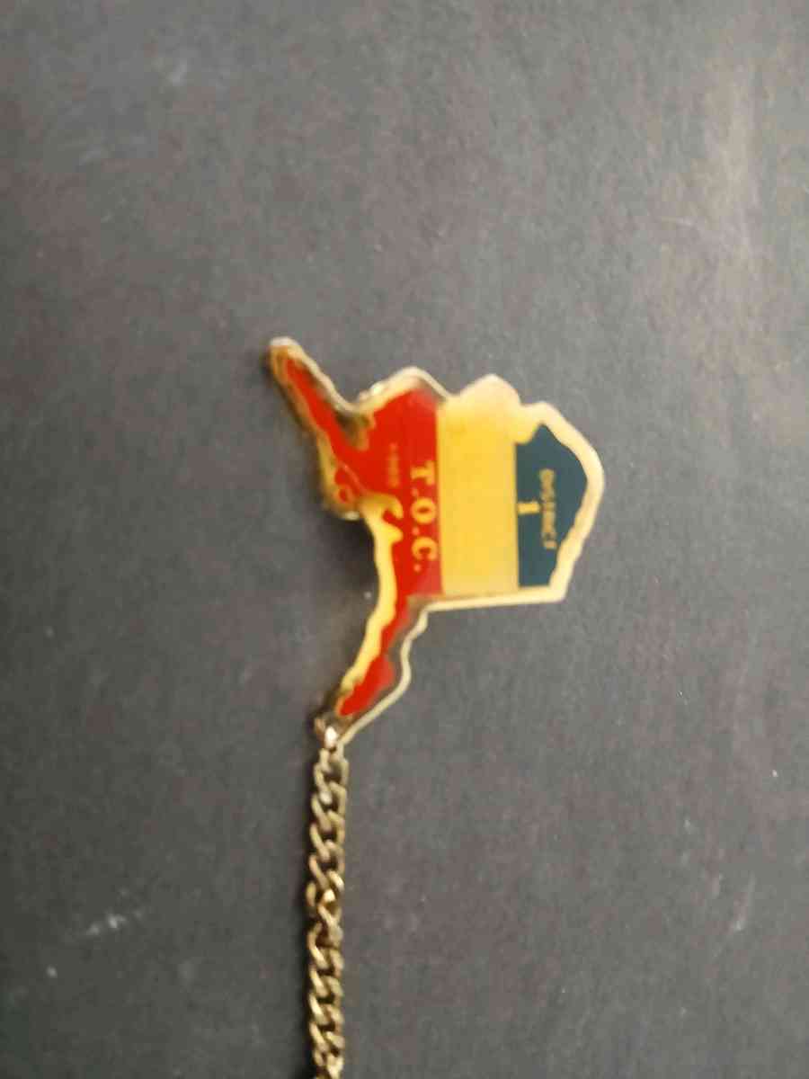 Alaska Little League pin - Adelanto, California - FleaMarketBay