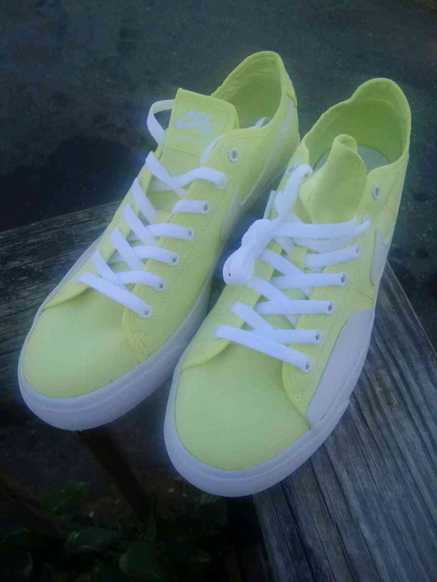 Nike SB Blazer Court - Ramseur, North Carolina - FleaMarketBay