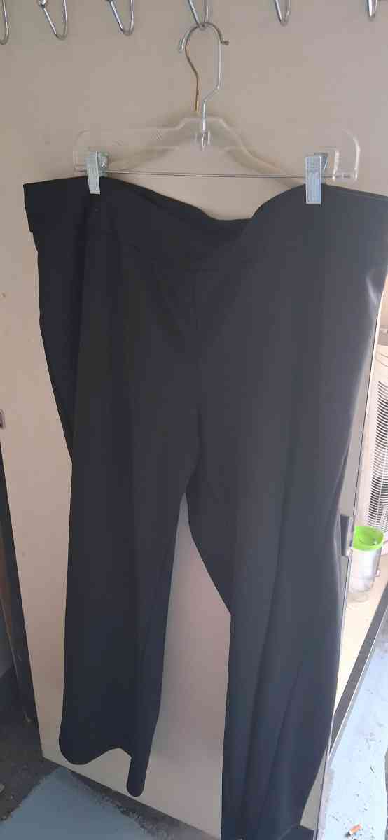 Black pants - Hudson, Florida