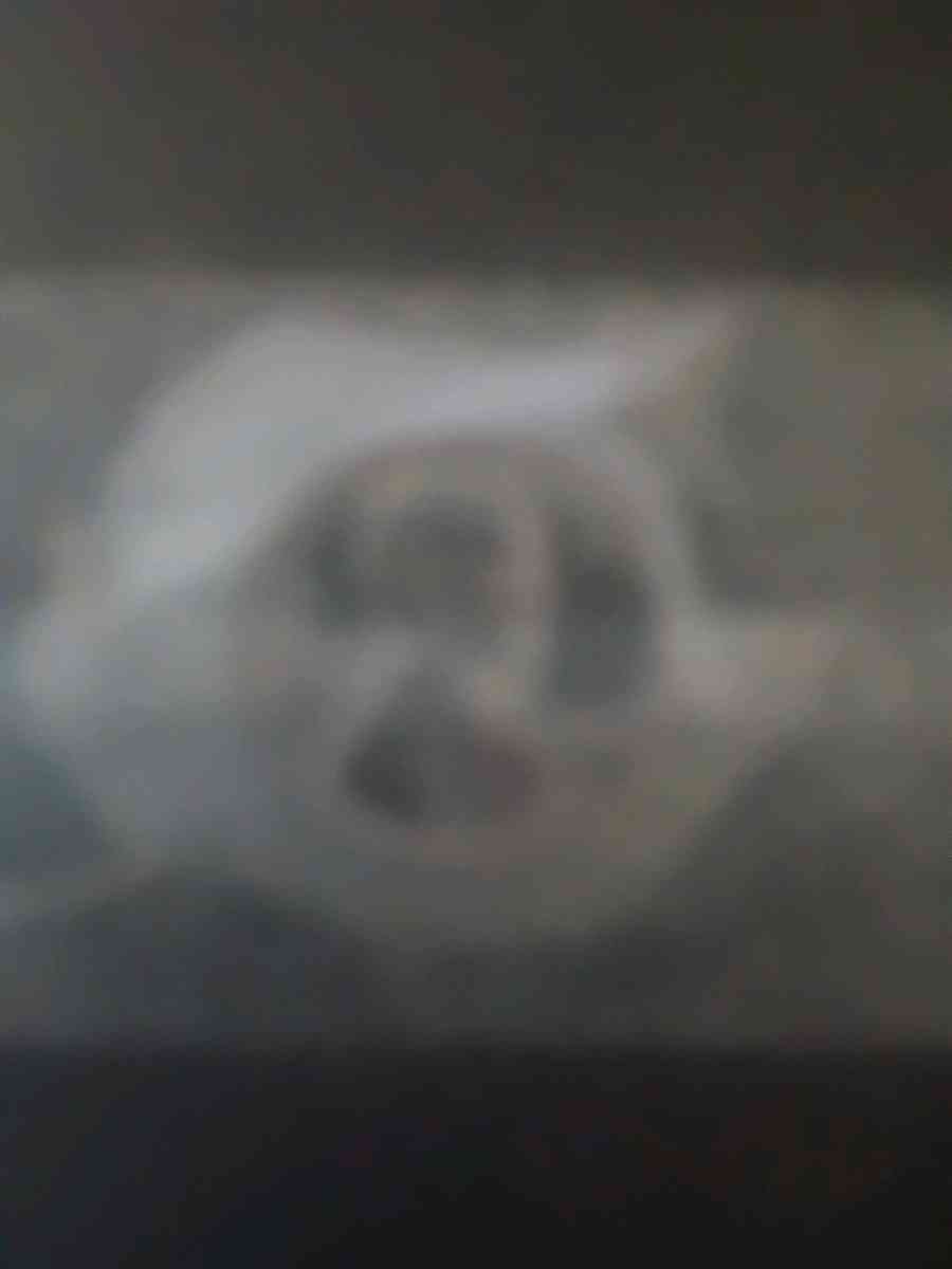 Rare 1 of kind 1964 pure platinum padinski penny - Dayton, Ohio - FleaMarketBay