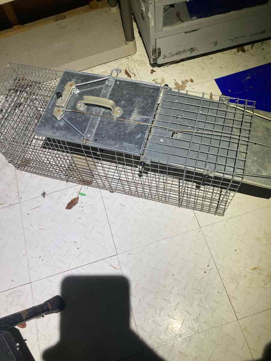 Metal Animal Trap Cage - Essington, Pennsylvania - FleaMarketBay