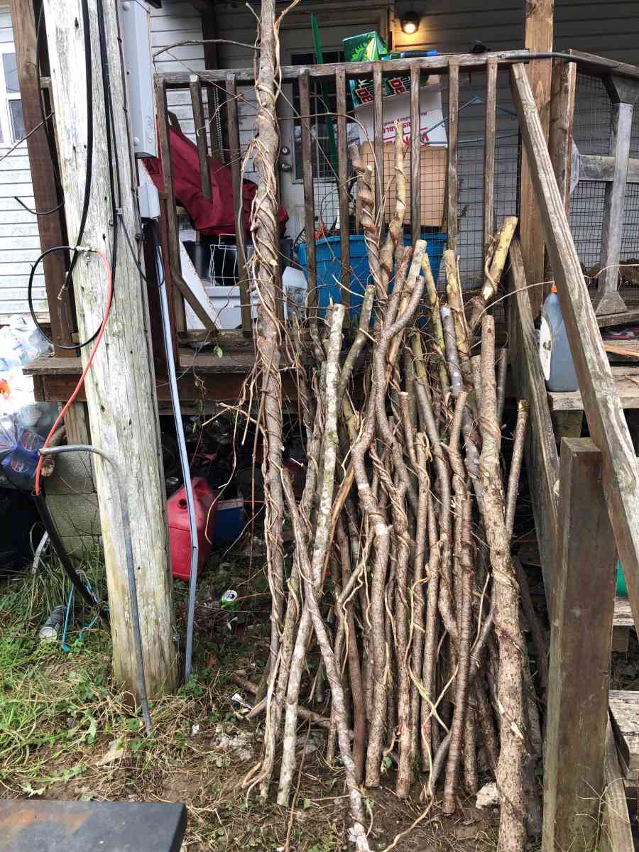 Twisted sticks - London, Kentucky - FleaMarketBay