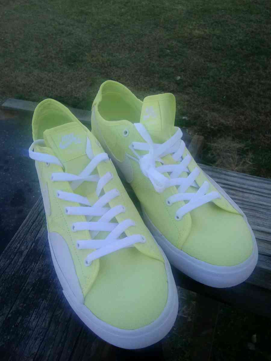 Nike SB Blazer Court - Ramseur, North Carolina - FleaMarketBay