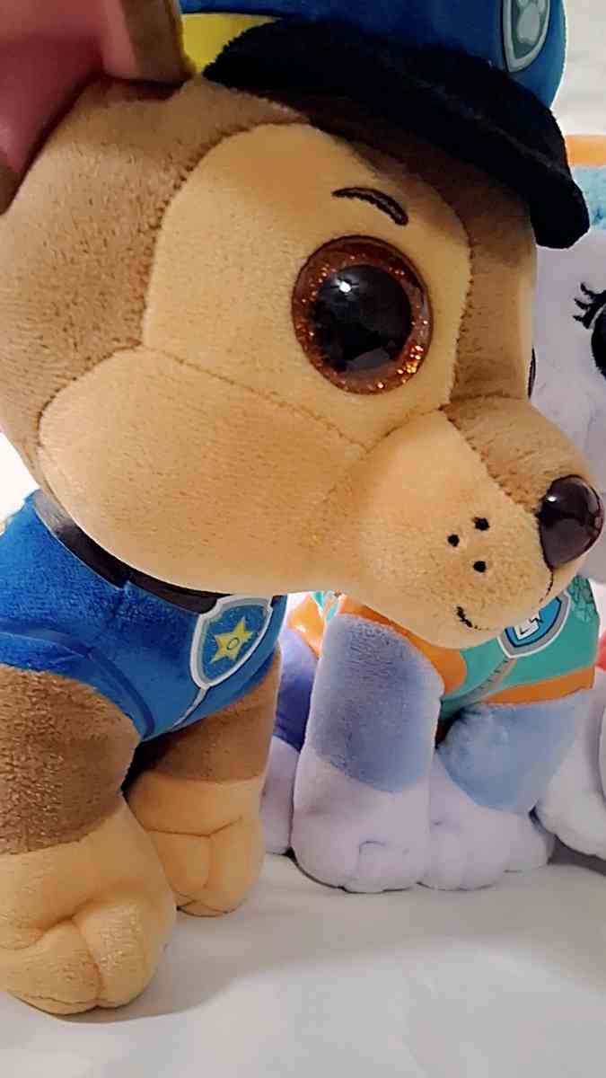 PAW PATROL TY - Maricopa, Arizona - FleaMarketBay