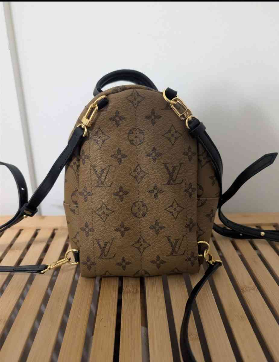 Louis Vuitton Palm springs bag - Ocala, Florida - FleaMarketBay