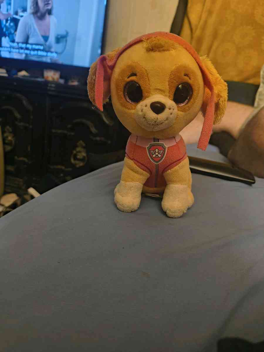 ty beanie boos sky paw patrol vintage - Tazewell, Tennessee